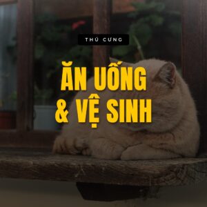 Ăn uống & vệ sinh — bộ sưu tập Thú cưng