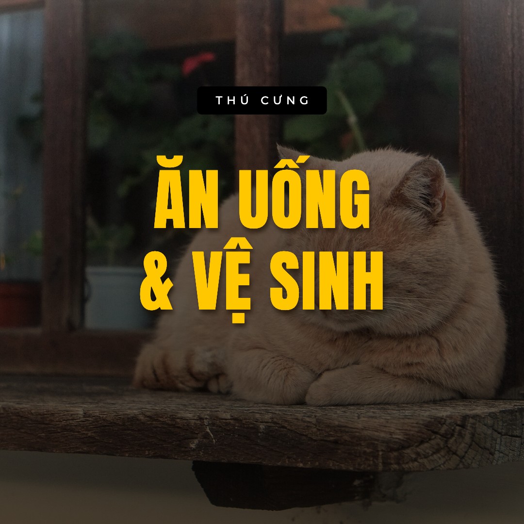 Ăn uống & vệ sinh — bộ sưu tập Thú cưng