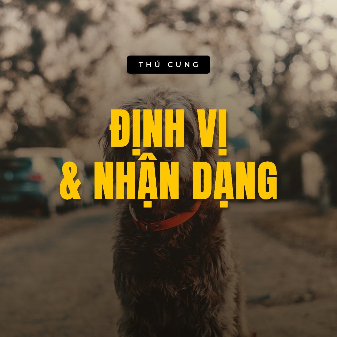 Định vị & nhận dạng — bộ sưu tập Thú cưng